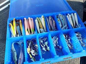 fishingPhoto/9to16/swimbait-box.JPG