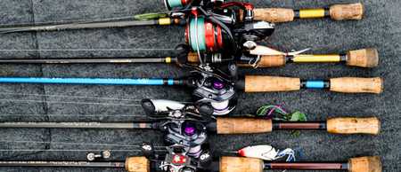 Beginner Fisherman's Guide to Bass Fishing Rods