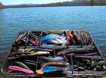 fishingPhoto/9to16/soft-plastics.JPG