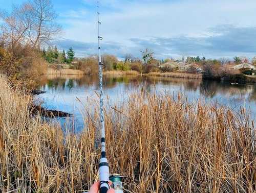 Bank Fishing Bass