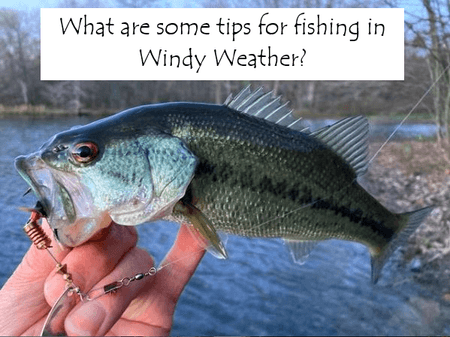 What are some tips for fishing in Windy Weather?