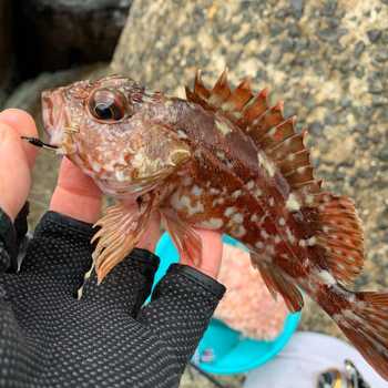 fishingPhoto/9to16/178984000_4607274485955147_8333734671015586848_n.jpg