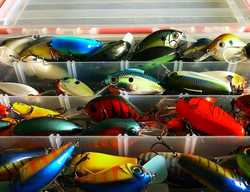 What Color Bass lure/bait you should be using
