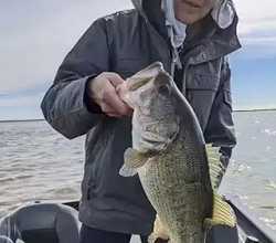 Key Factors Affect Bass Fishing