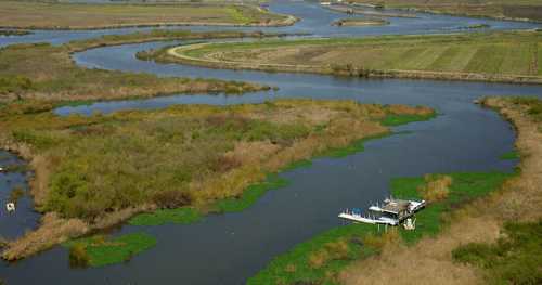 California Delta