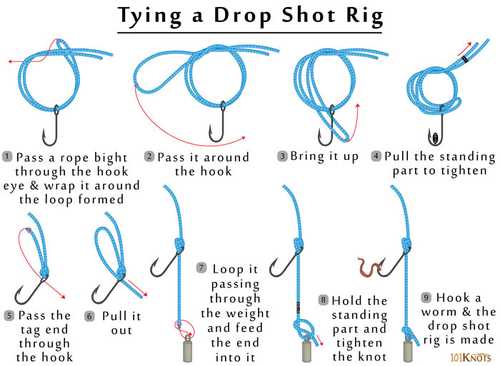 tying drop shot knot diagram 1