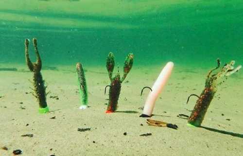 Ned Rigs Underwater standing up