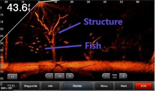 Garmin Livescope On Screen Example