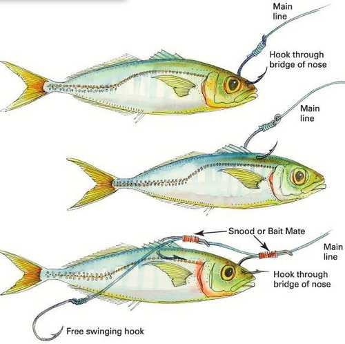 Methods for Rigging Artificial Bait